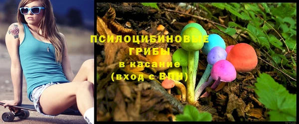 прущий лед Арсеньев